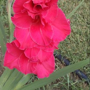 Meet your Posher, Jill